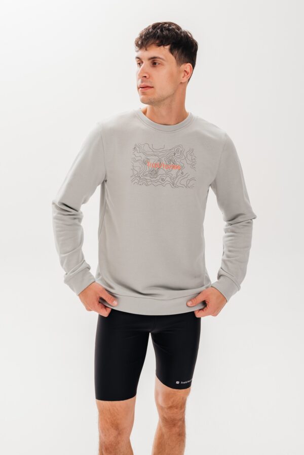 DSC_1944_resized Свитшот Линии высоты серый мужской