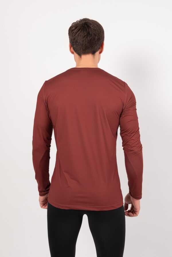 DSC_7933_resized Лонгслив Logo терракот мужской