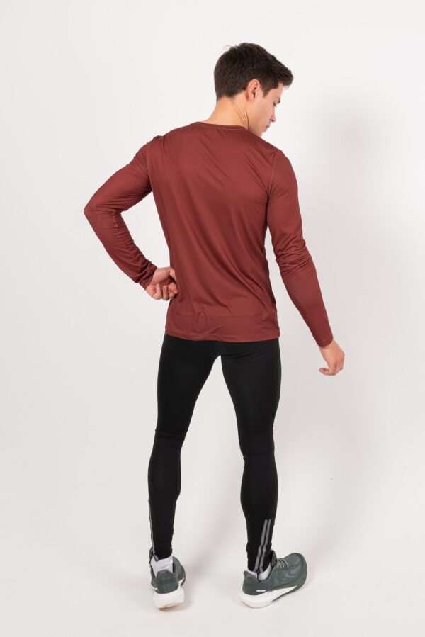 DSC_7962_resized Лонгслив Logo терракот мужской